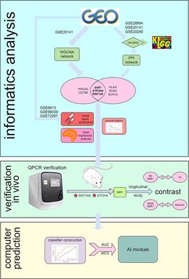 Blood SSR1: A Possible Biomarker for Early Prediction of Parkinson’s Disease